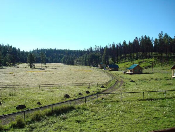 Paisaje rural con un campo cercado, un camino de tierra y algunos edificios pequeños.