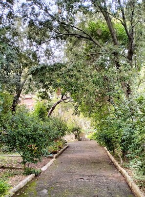 Área da propriedade