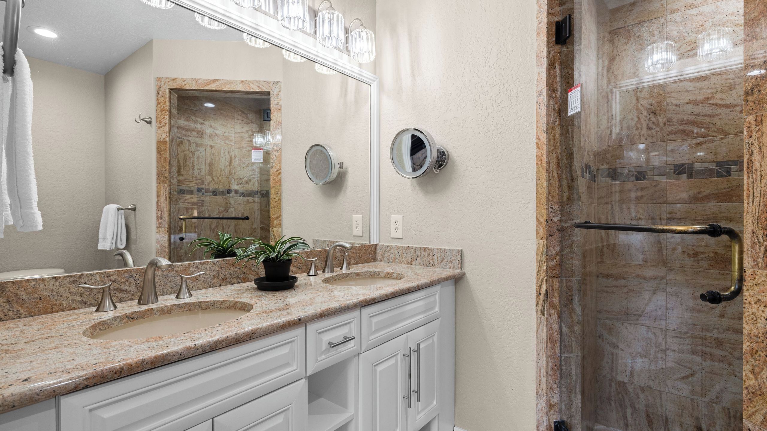 A bathroom with a granite countertop, two sinks, a large mirror, a potted plant, and a shower with a glass door.