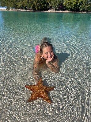 Eine Person schwimmt in klarem türkisblauem Wasser, während ein Seestern im Sand liegt.