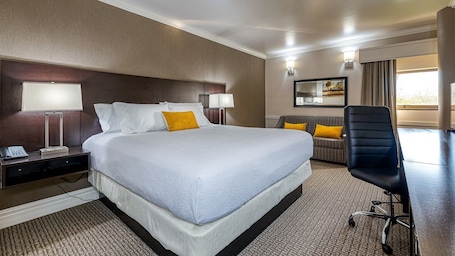 Deluxe Room | Desk, laptop workspace, iron/ironing board, free WiFi. University Inn