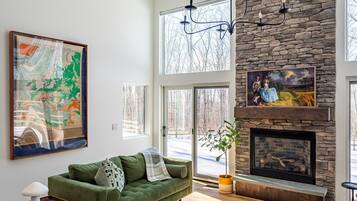 TV, fireplace, books