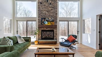 Smart TV, fireplace, books