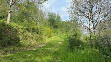 A natural, grassy path flanked by trees and shrubs, leading into a forested area.