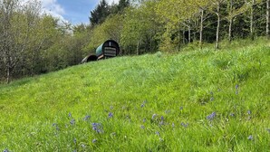 Un paysage rural avec une construction ressemblant à une grange, située sur une pente herbeuse.