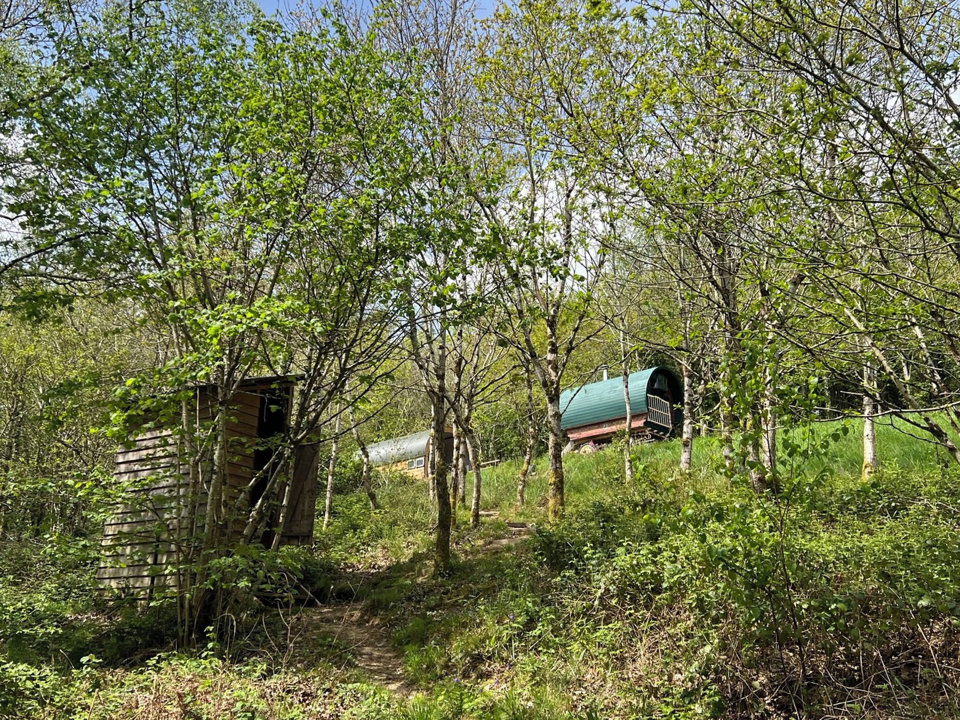 Une cabane rustique, entourée d’une forêt dense, avec une petite construction en bois sur la gauche et un bâtiment doté d’un toit végétalisé sur la droite.