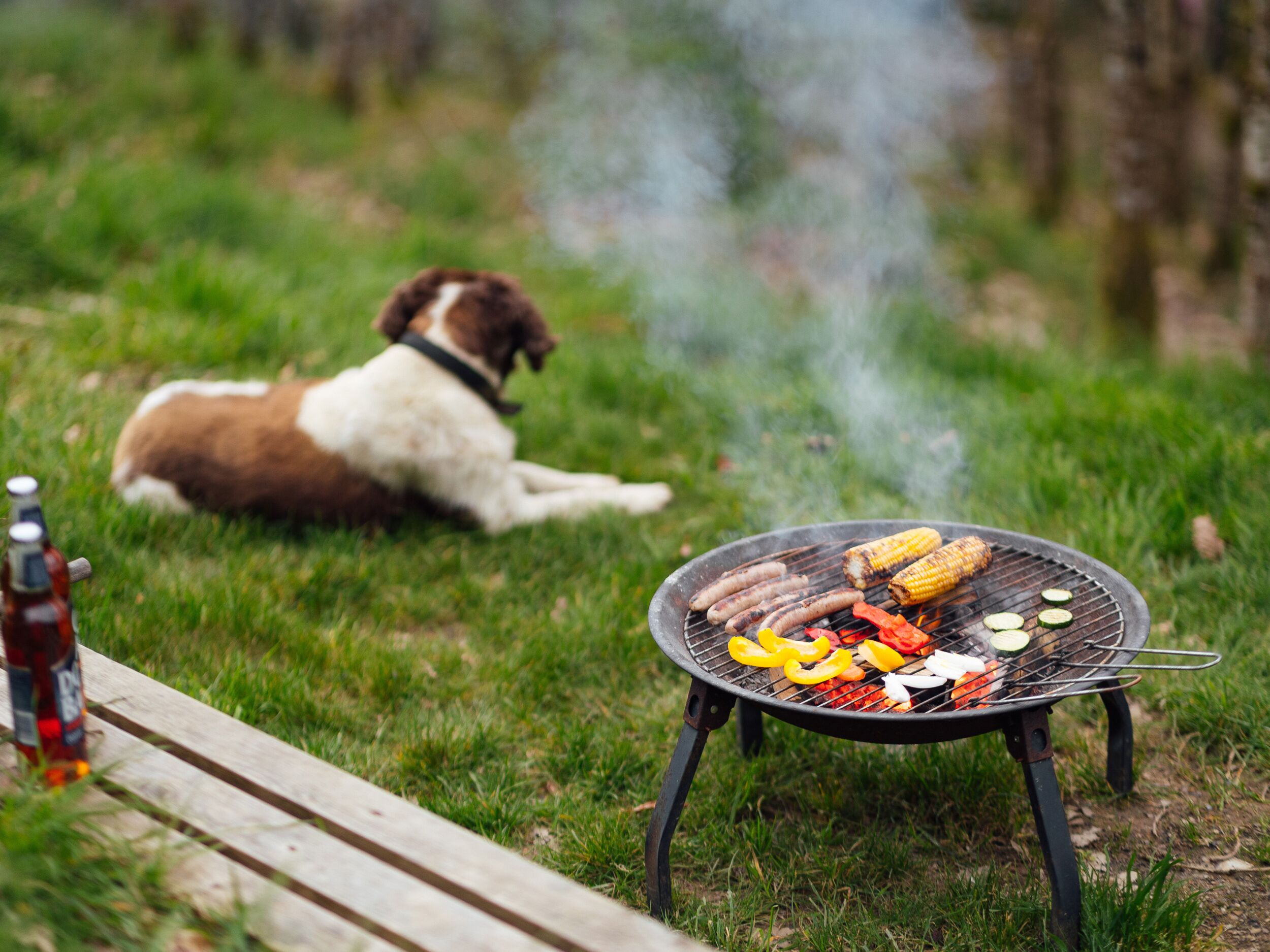 En grill med pølser, majs og grøntsager på en græsplæne.