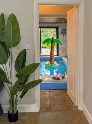Un espace piscine agrémenté d’un palmier décoratif, d’un tapis de piscine bleu et d’une plante en pot.