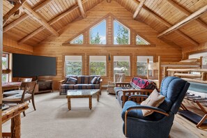 Televisión, chimenea y libros 