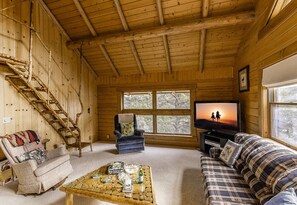 Televisie, een open haard en boeken