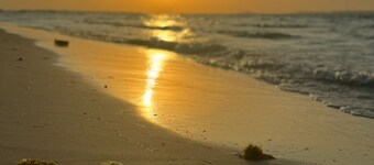 Shweihat Beachfront Villa