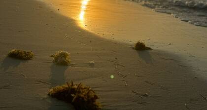 Shweihat Beachfront Villa