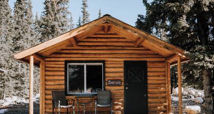 Aspen Cabin: Relaxing Mountain Escape | Sleeps 4