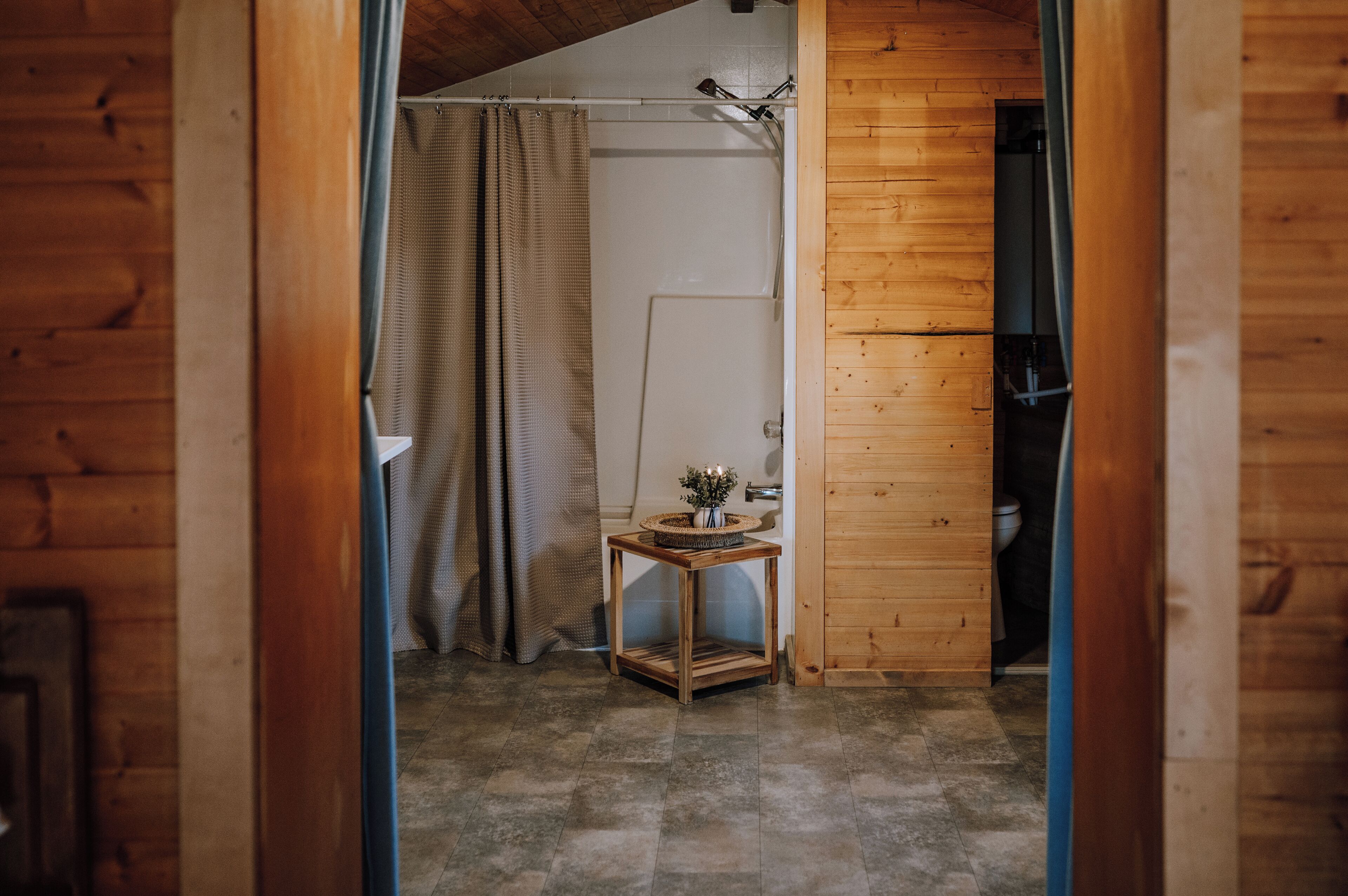 Un interior de madera con zona de ducha, una mesita con una planta y un inodoro a la vista.