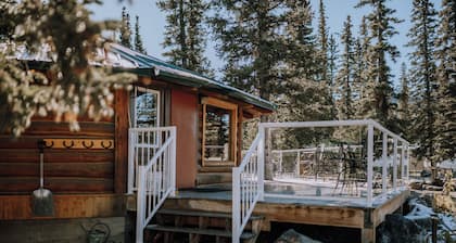 Dogwood Cabin: Cozy Adventure in the Mountains