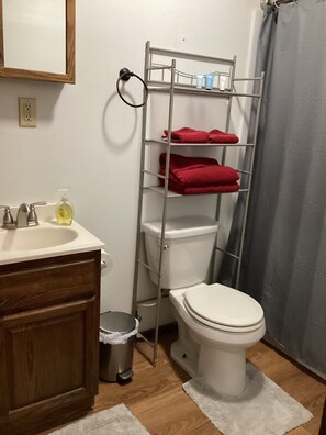 Comfort Apartment, 1 Queen Bed with Sofa bed, Non Smoking | Bathroom | Free toiletries, towels, soap, shampoo - Homestead Motel & RV (Sloan)