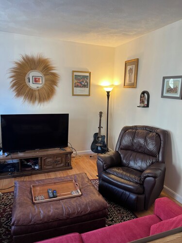 Furnished 1BR Near BU, BC & Green Line