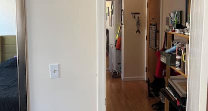 Furnished 1BR Near BU, BC & Green Line