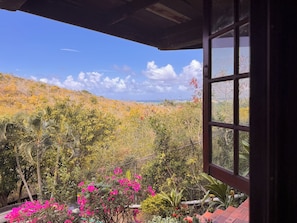 Une pièce dotée d’une grande fenêtre donnant sur un jardin où poussent différentes espèces de plantes, et offrant une vue sur un paysage vallonné.
