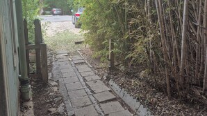 A paved pathway leading to a car parked on a street, surrounded by dense bamboo foliage. - Treelined street, hidden gem in a bamboo forest.  Walk to coffee shops/eateries! (San Marcos)