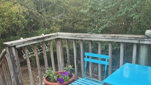 A wooden deck with a blue table and chair, a potted plant, and a patterned rug. - Treelined street, hidden gem in a bamboo forest.  Walk to coffee shops/eateries! (San Marcos)