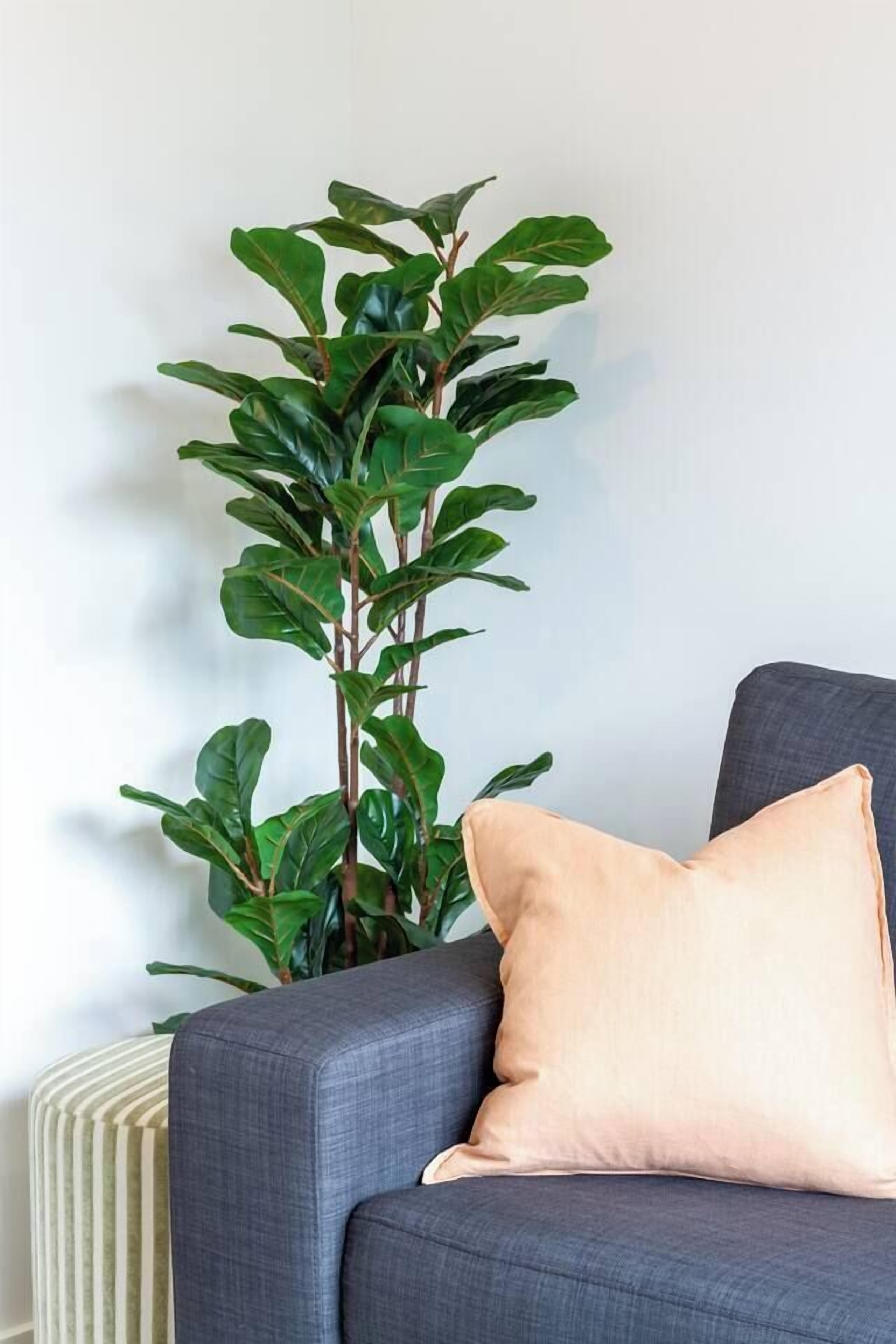 City Stay, Sleeps 6 - Walk To One Nz Stadium - Christchurch, New Zealand