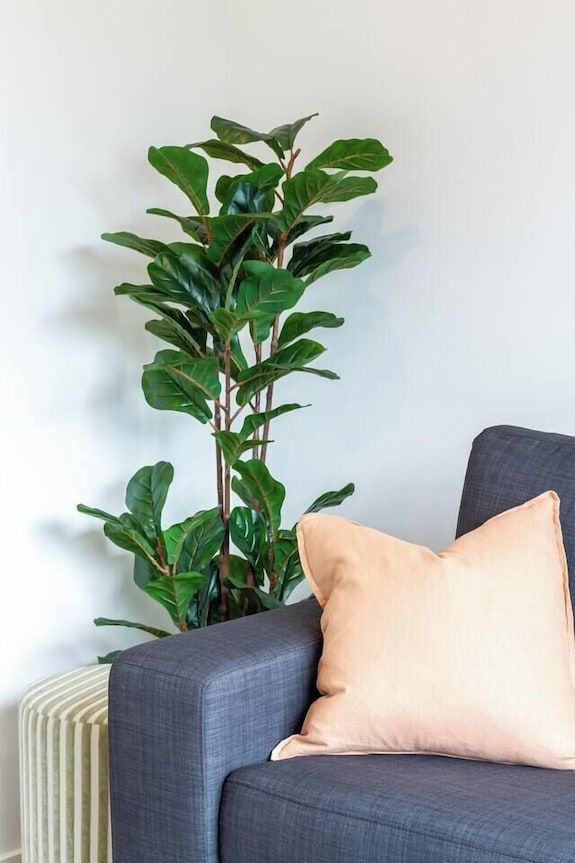 City Stay, Sleeps 6 - Walk To One Nz Stadium - Christchurch, New Zealand