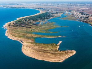 Luftaufnahme einer Küstenlandschaft mit einem großen Gewässer, einer geschwungenen Küstenlinie und einer kleinen Insel.