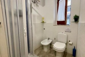 Shower, hair dryer, bidet, towels