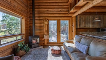 Smart TV, chimenea y libros