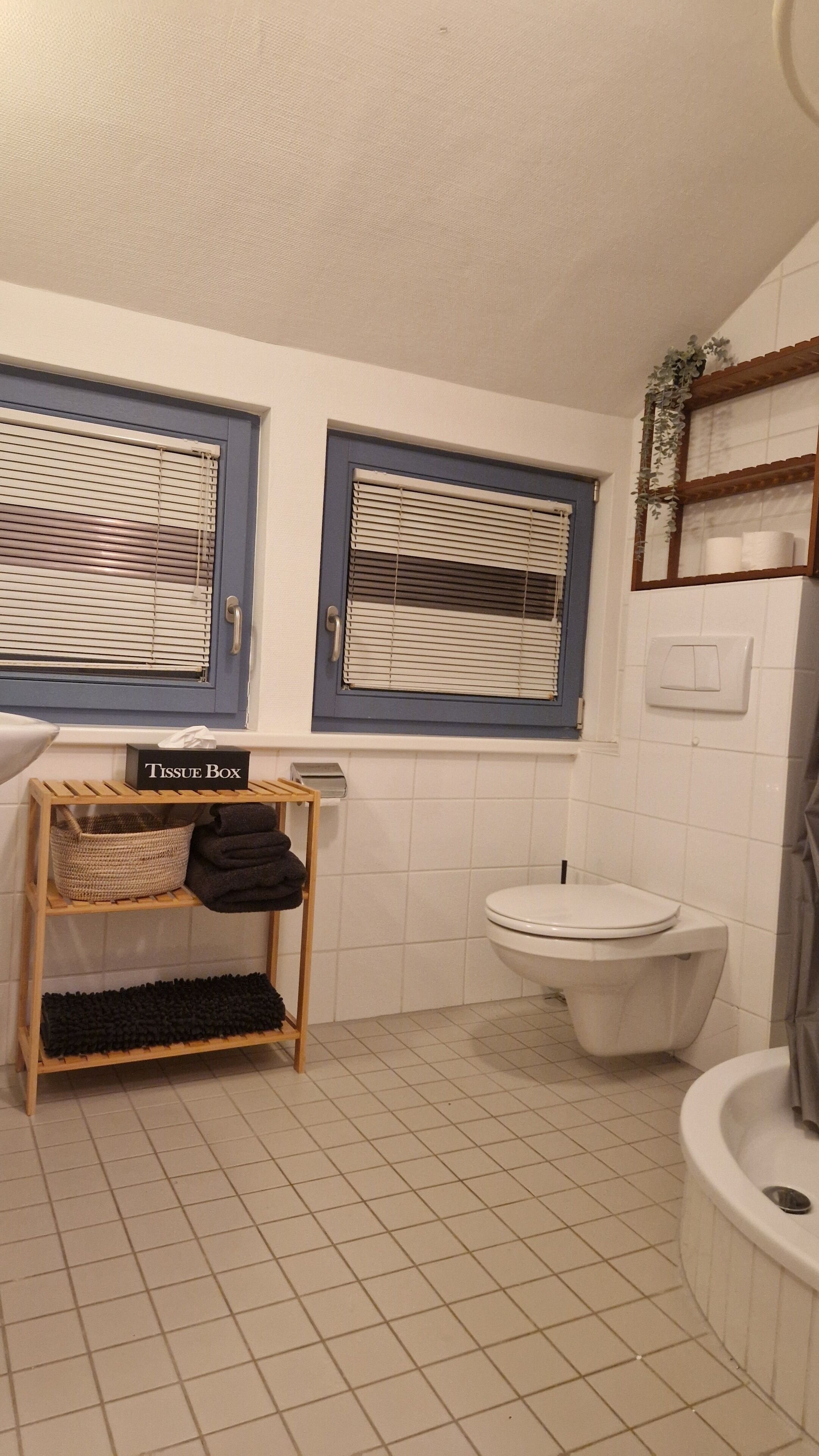 Hiustenkuivaaja, pyyhkeet, saippua, sampoo