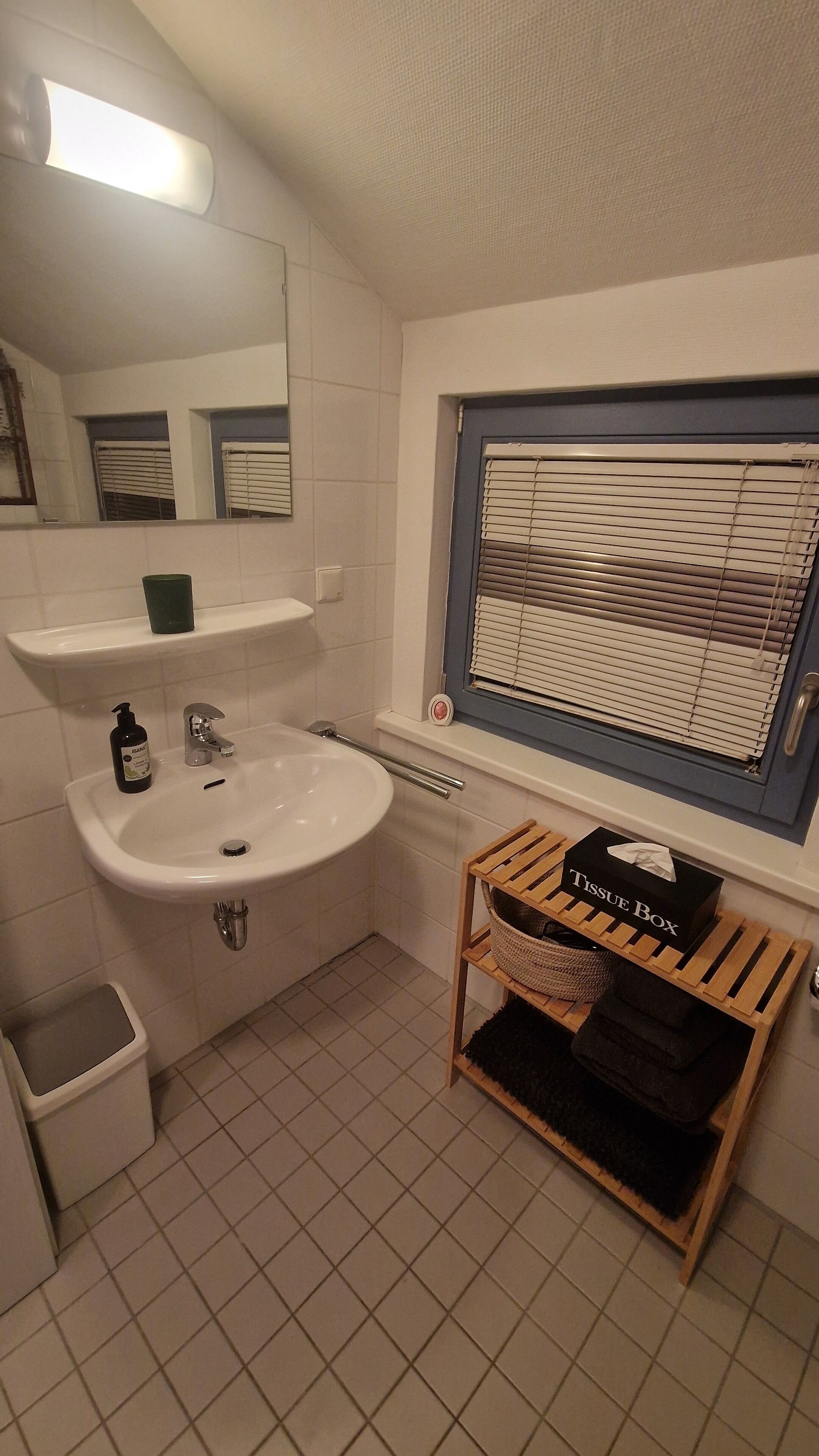 Hiustenkuivaaja, pyyhkeet, saippua, sampoo