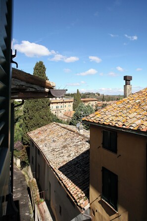 Vista des de l'allotjament