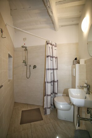 Een badkamer met douche, toilet en wastafel.