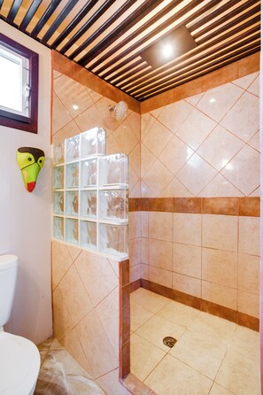 Shower, hair dryer, towels, soap - Comfortable & Complete 1-Beroom Unit in the Village- all the bells and whistles (Placencia)