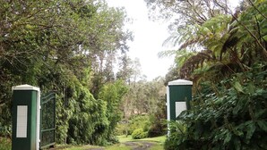 A pathway leading through a lush garden with a gate and a utility box on either side.
