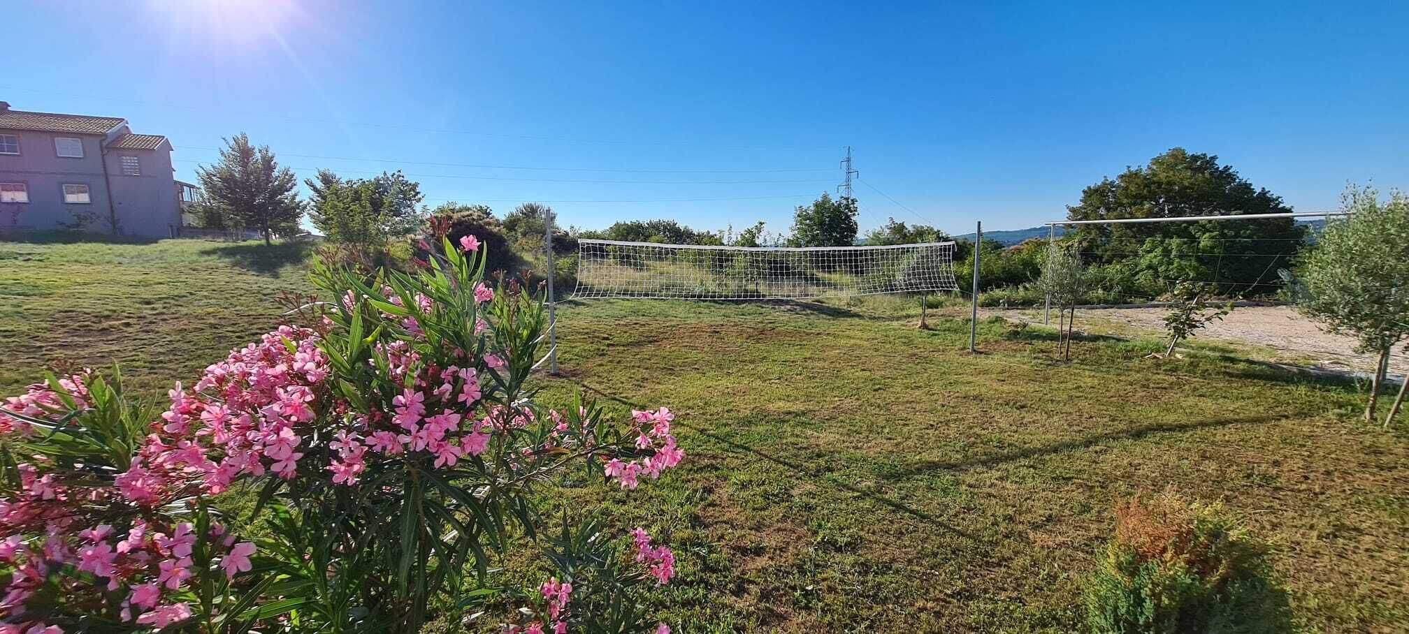Ett grönområde utomhus med ett nät för volleyboll, en byggnad i bakgrunden och blommande växter i förgrunden.