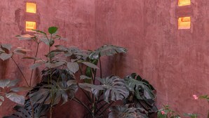 Une pièce avec un mur rose à la texture particulière, deux appliques murales encastrées et de grandes plantes vertes.