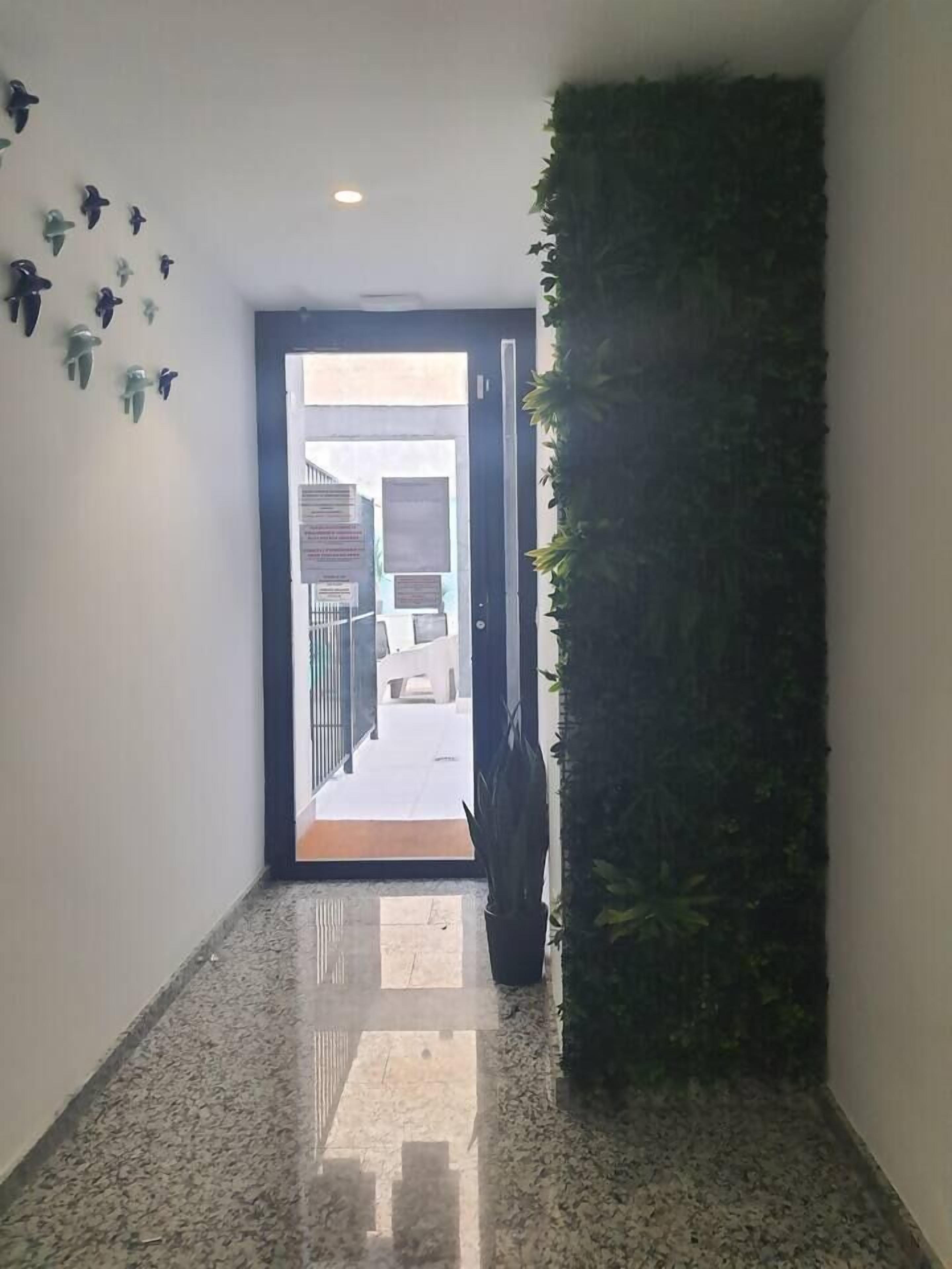 Un couloir doté d’un sol carrelé, une porte donnant sur un espace extérieur lumineux et un mur agrémenté d’un jardin vertical.