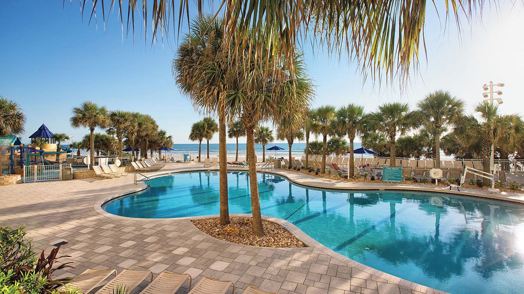 A swimming pool with a curved design, surrounded by palm trees and lounge chairs, with a beach and ocean view in the background.