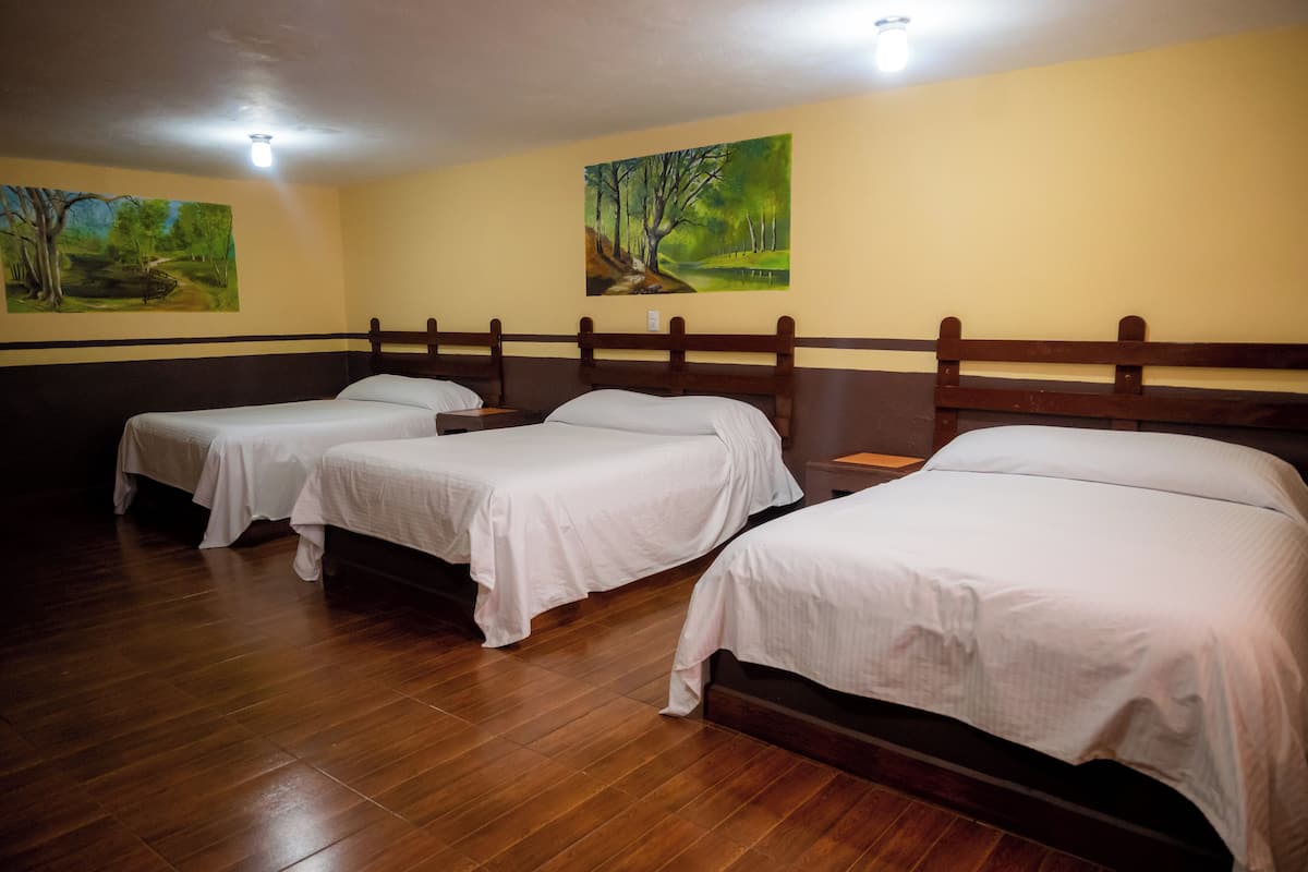 Family Triple Room | Free WiFi