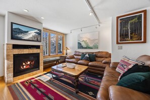 Chimenea, reproductor de DVD