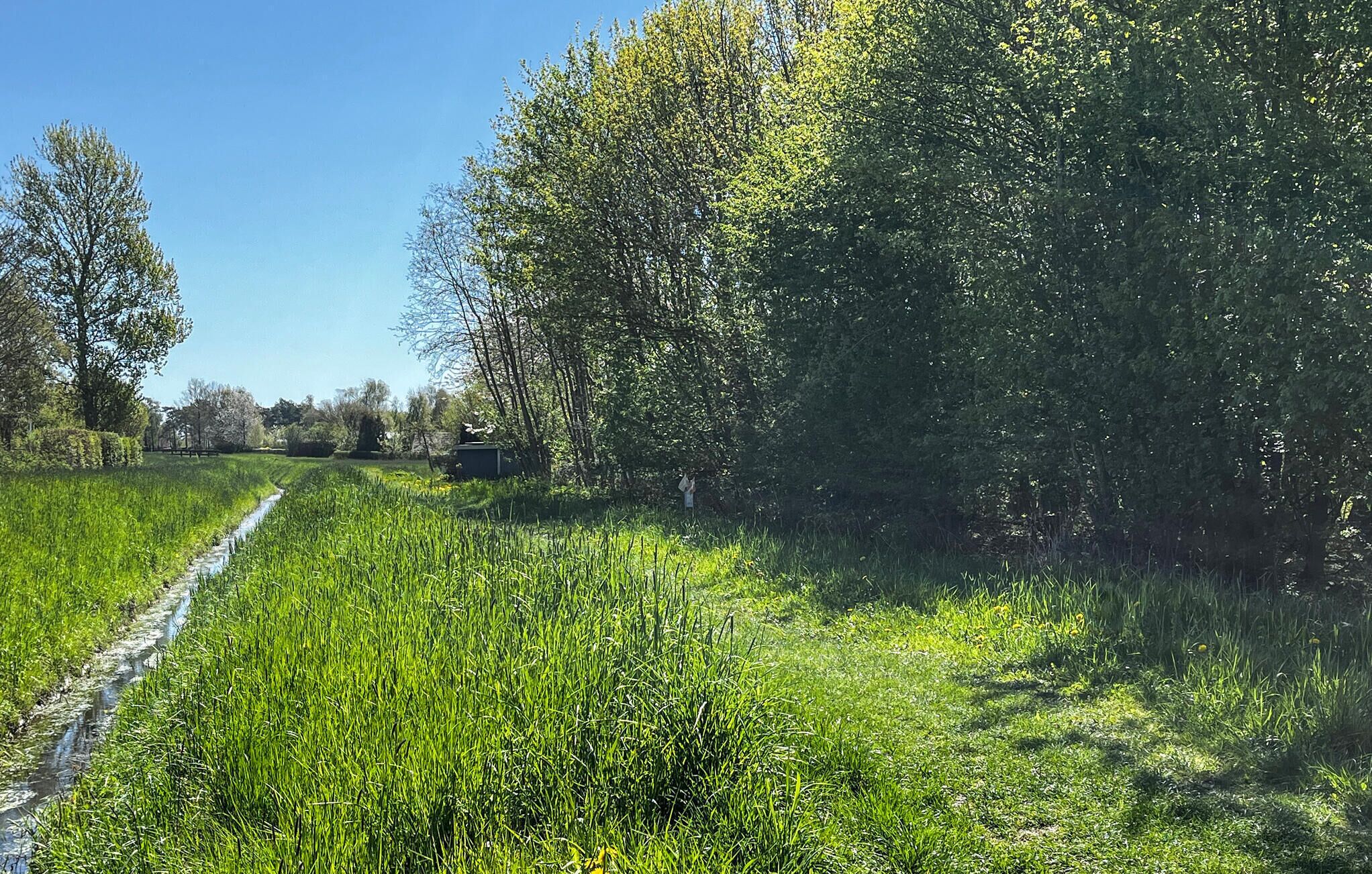 Paisagem rural com um pequeno canal de água, vegetação densa e árvores.