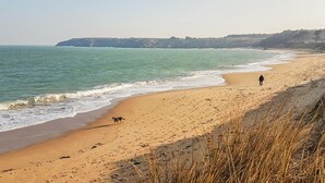Uma praia com uma pessoa caminhando e um cão.