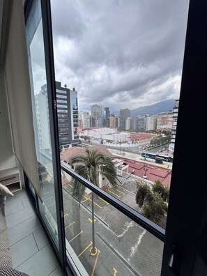 Interior - Deluxe green suite/ La Carolina (Quito)