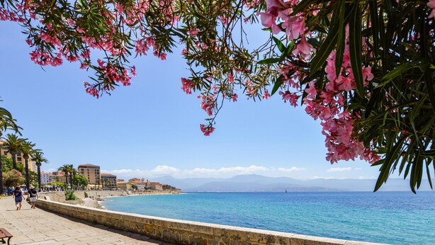 A coastal promenade with a stone wall, clear blue sea, and buildings in the background. - Stunning home in Vero with private swimming pool, can be inside or outside (Vero)