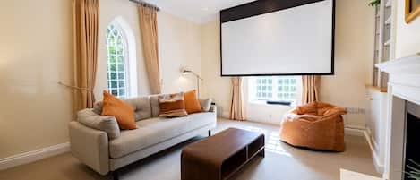 TV connectée, cheminée, livres, chaîne hi-fi