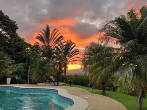 Une piscine à bord incurvé, entourée de palmiers et bordée d’un chemin en béton.