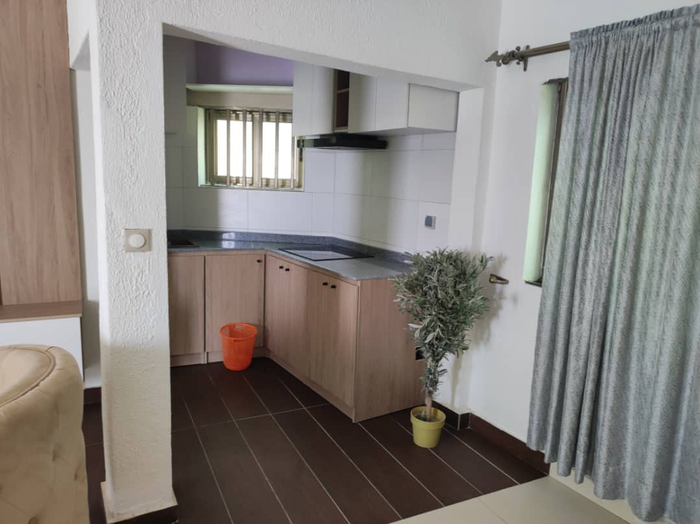 A compact kitchen with wooden cabinets, a sink, and a potted plant.