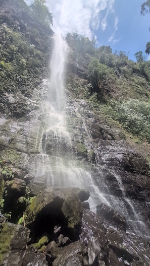 A waterfall cascading down a rocky slope surrounded by dense greenery.